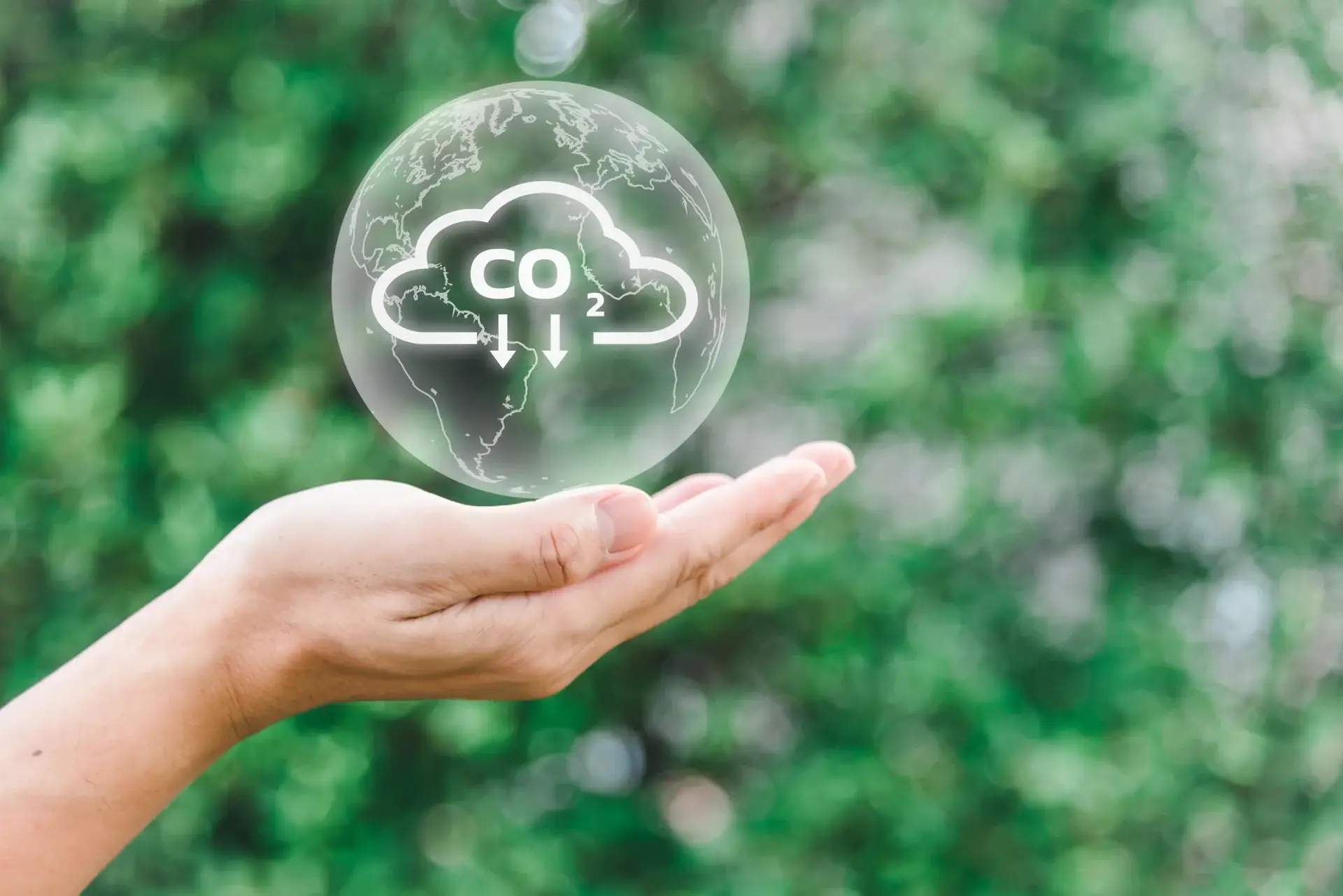 生質能:新世代工業的潔淨能源